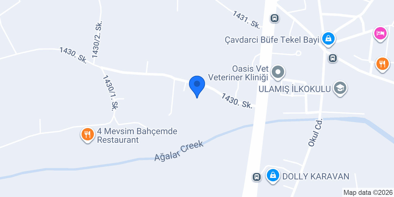 Ahşap Ev Doktoru konumu