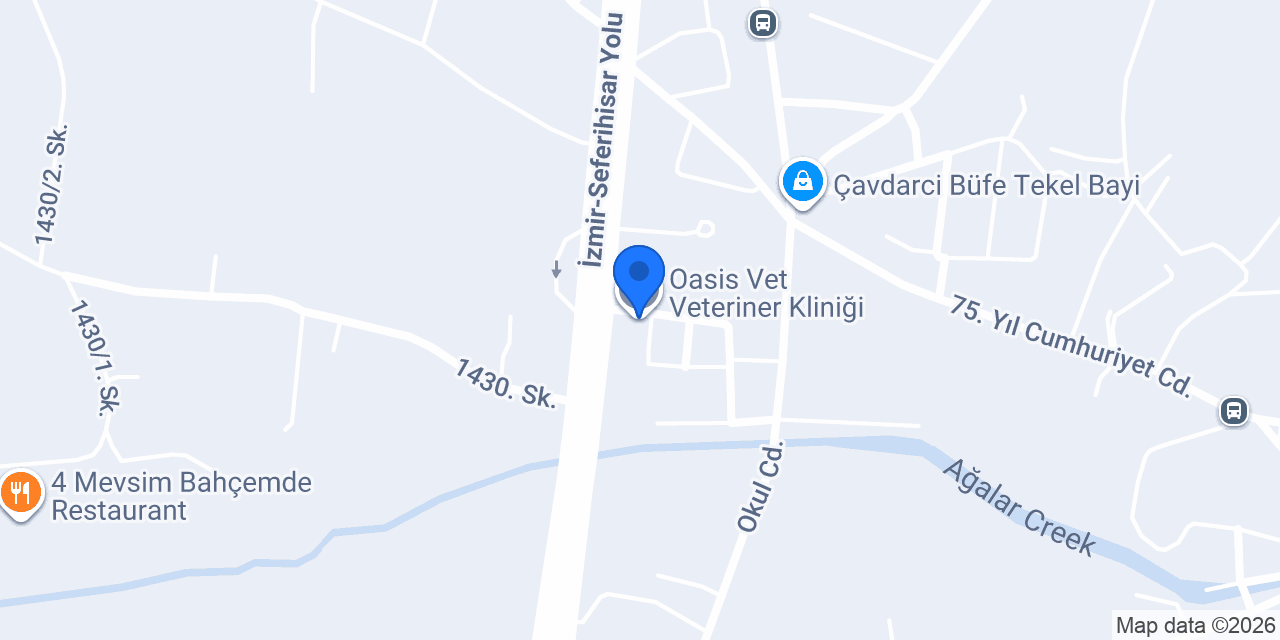 Oasis Vet Veteriner Kliniği konumu