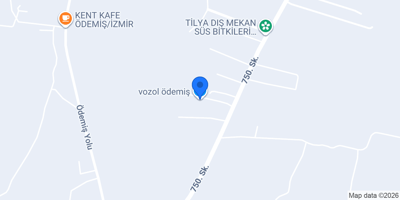vozol ödemiş konumu