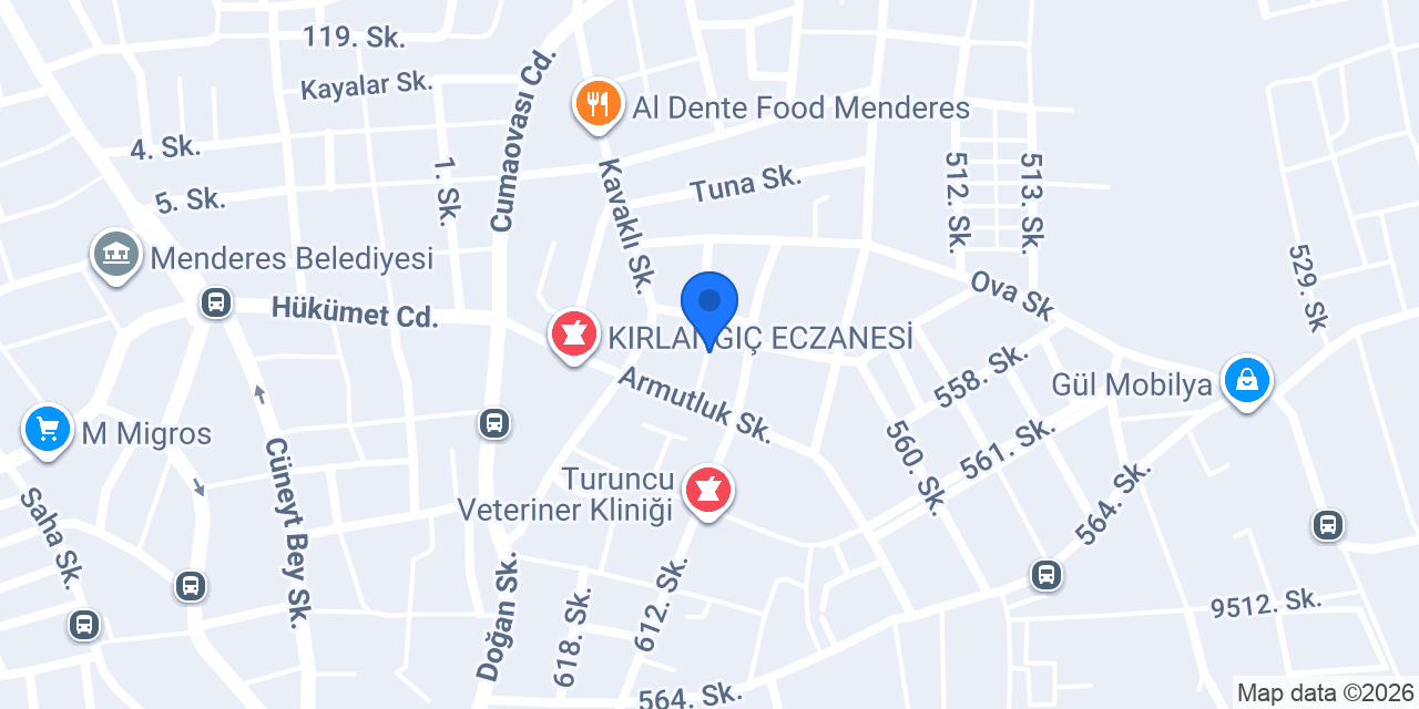 Raiz Boşnak Börekçisi konumu