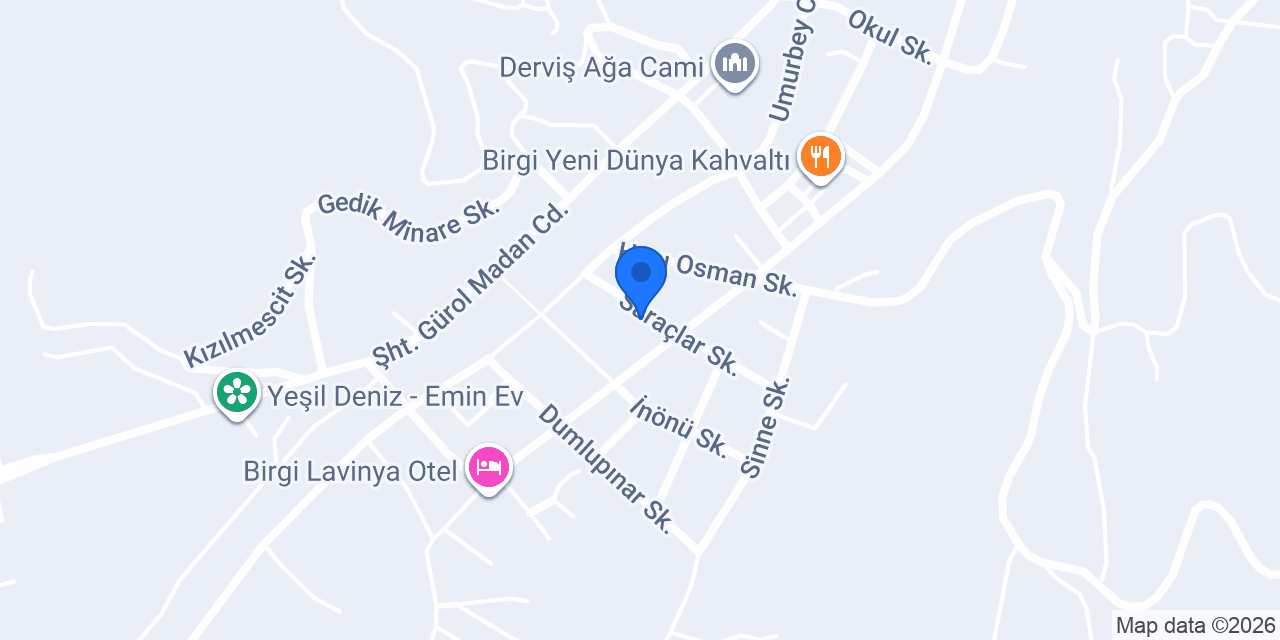 İncir Birgi konumu