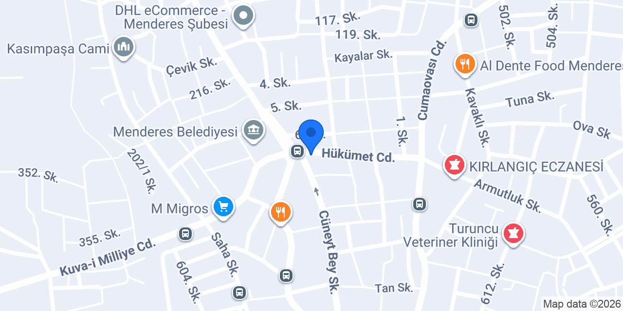 Yerli Elektronik konumu