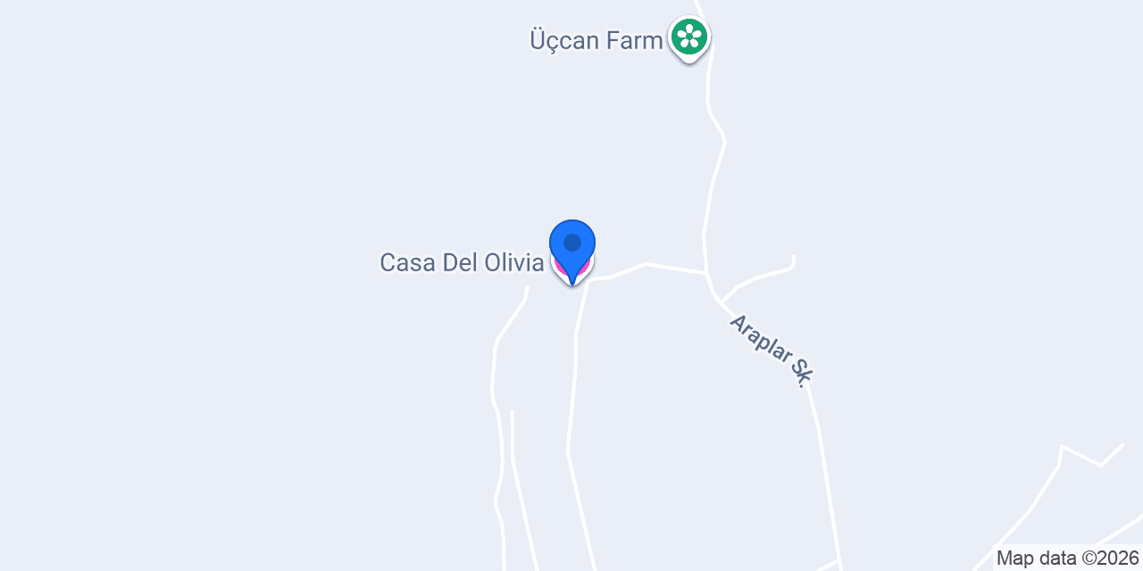 Casa Del Olivia konumu