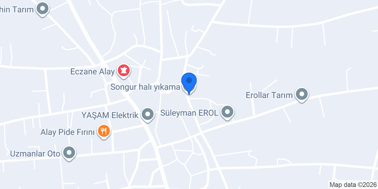 Songur halı yıkama konumu