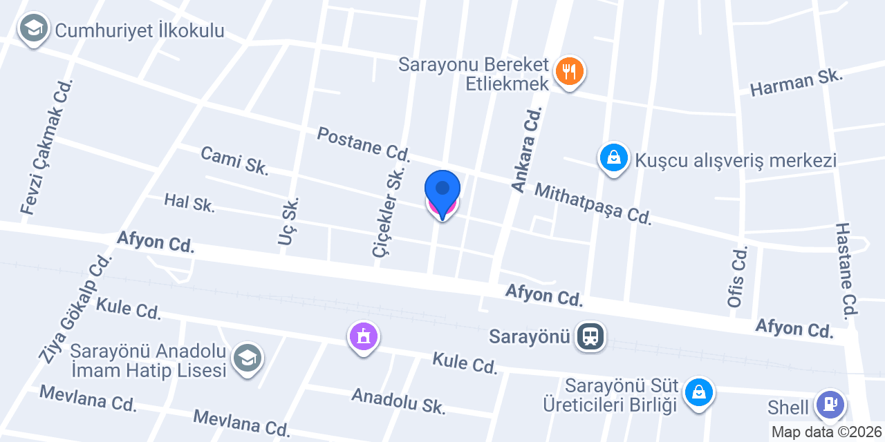 SARAY OTEL PANSİYON SARAYÖNÜ konumu