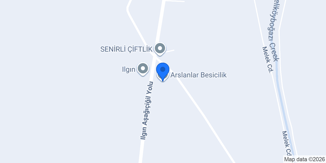 Arslanlar Besicilik konumu