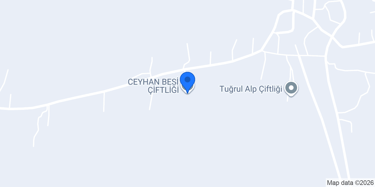 CEYHAN BESİ ÇİFTLİĞİ konumu
