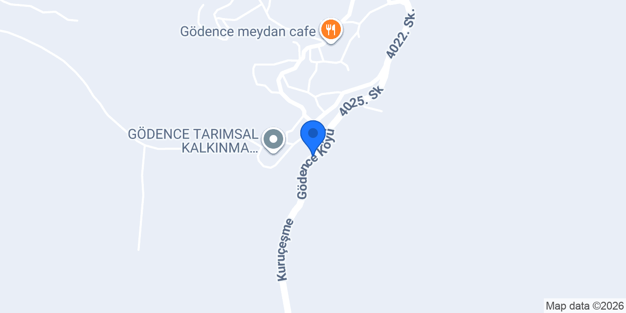 Zytuni Zeytinliği konumu