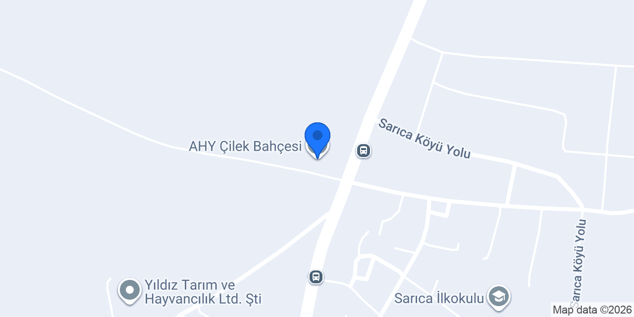 AHY Çilek Bahçesi konumu