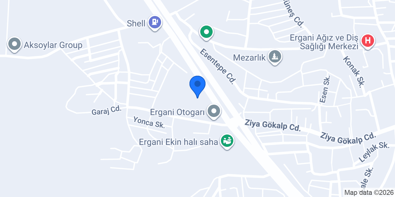 Özlem Cizre Nuh konumu