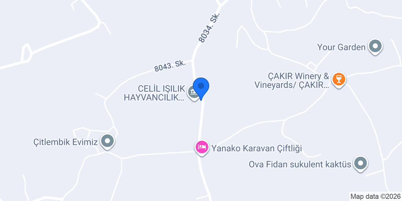 Celil Işılık besicilik konumu