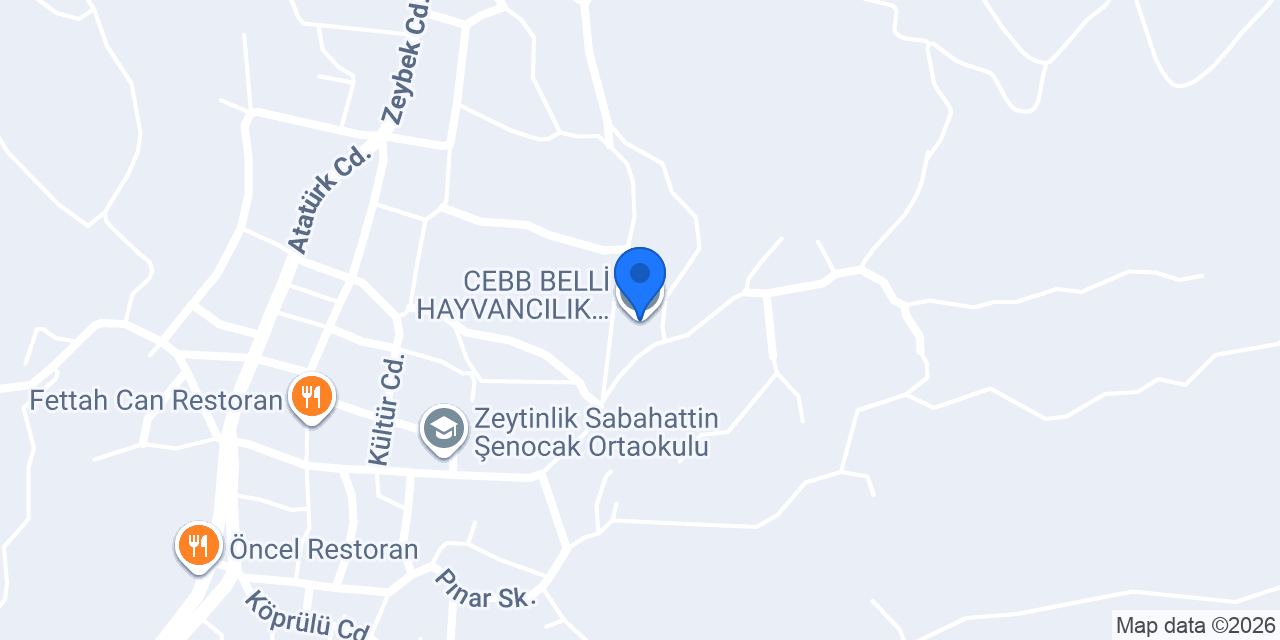 CEBB BELLİ HAYVANCILIK .EBRU BELLİ konumu