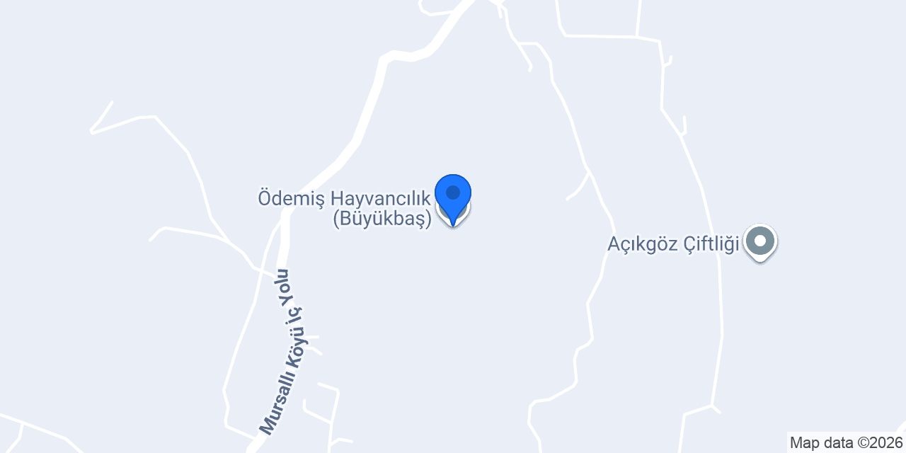 Ödemiş Hayvancılık (Büyükbaş) konumu