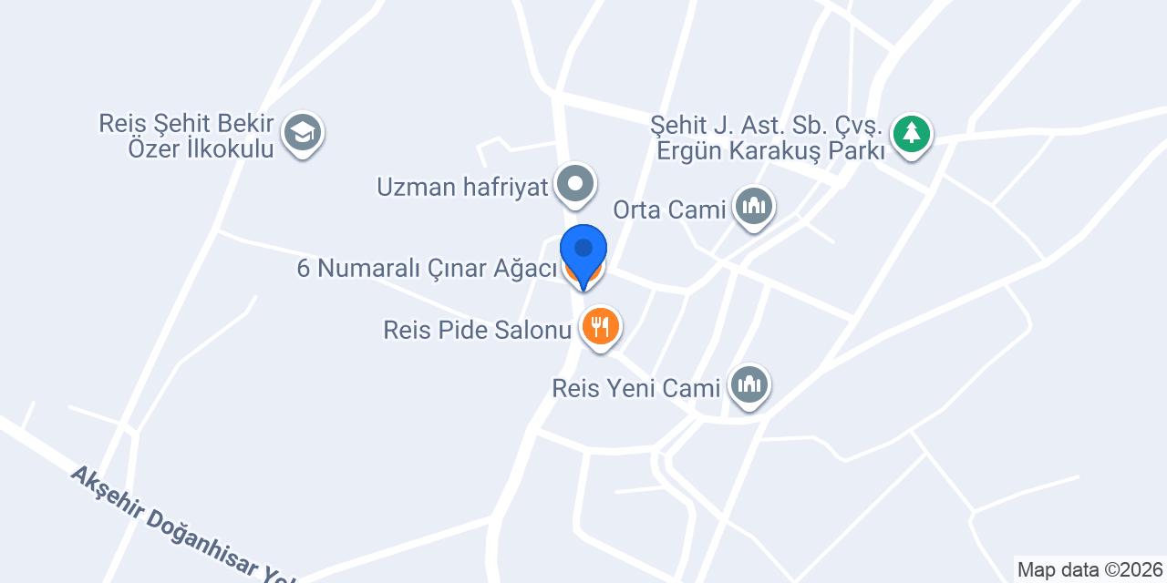 6 Numaralı Çınar Ağacı konumu