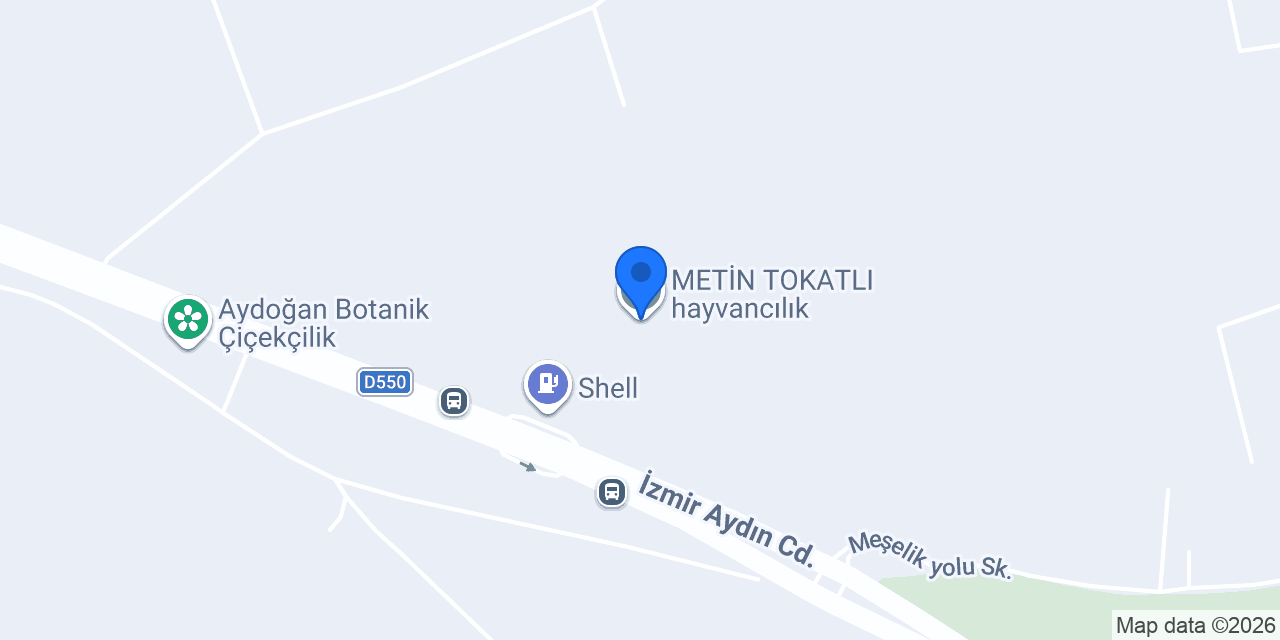 METİN TOKATLI hayvancılık konumu