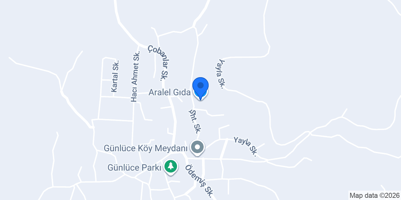 Aralel Gıda konumu