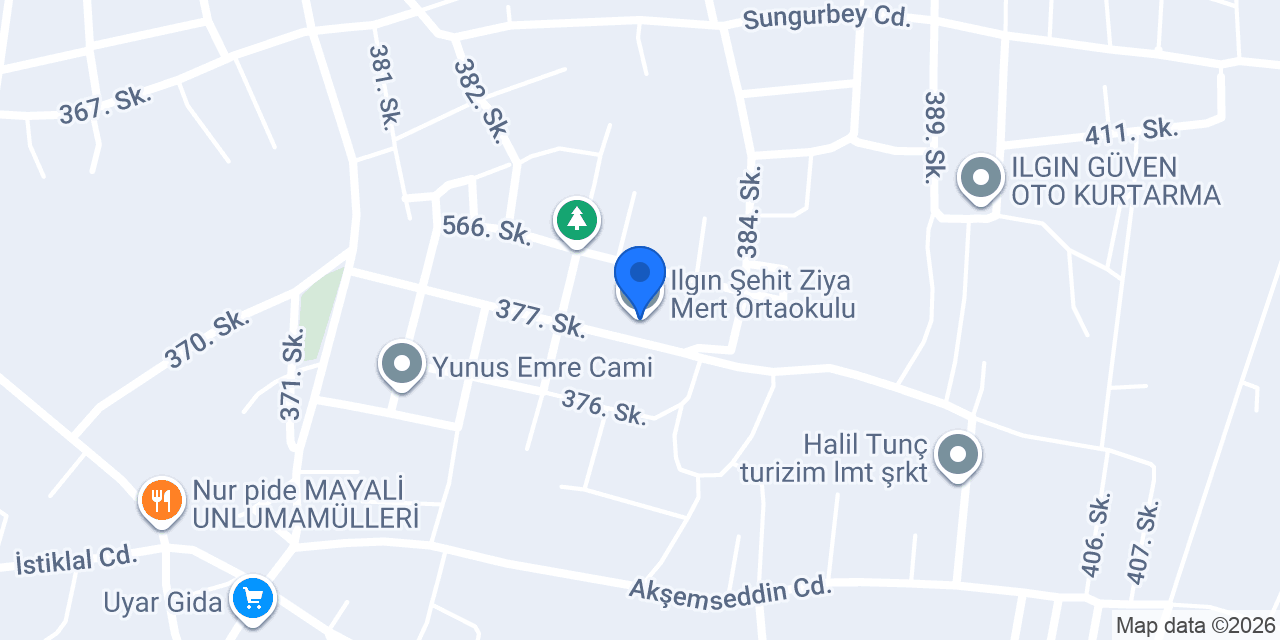 Ilgın Şehit Ziya Mert Ortaokulu konumu