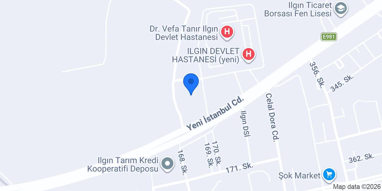 özlen ticaret lassa konumu