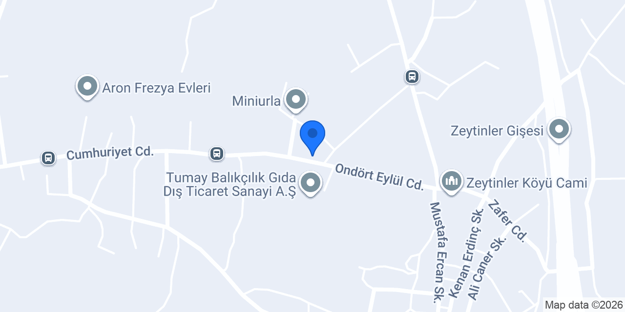 Lila marin tekne bot park alanı konumu