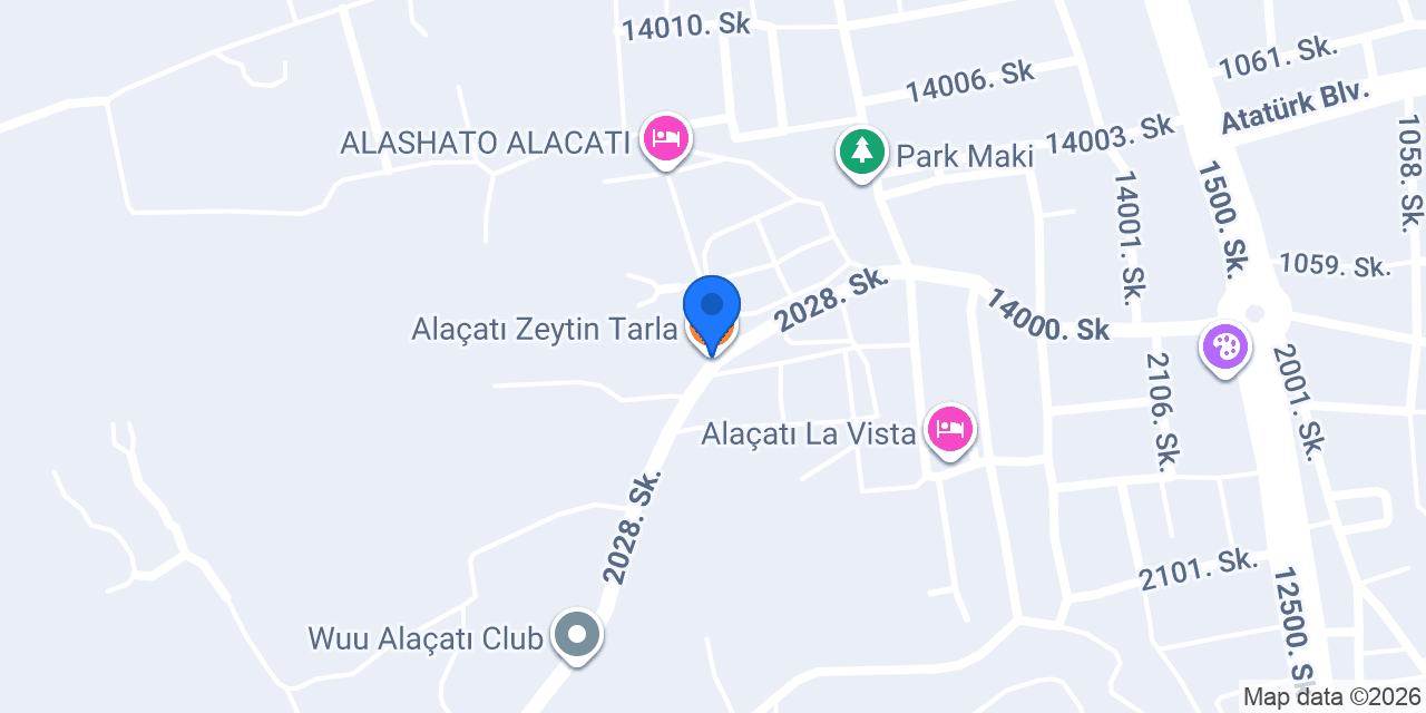 Alaçatı Zeytin Tarla konumu