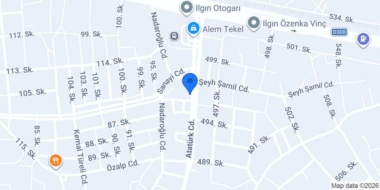 Yurtiçi Kargo Ilgın konumu