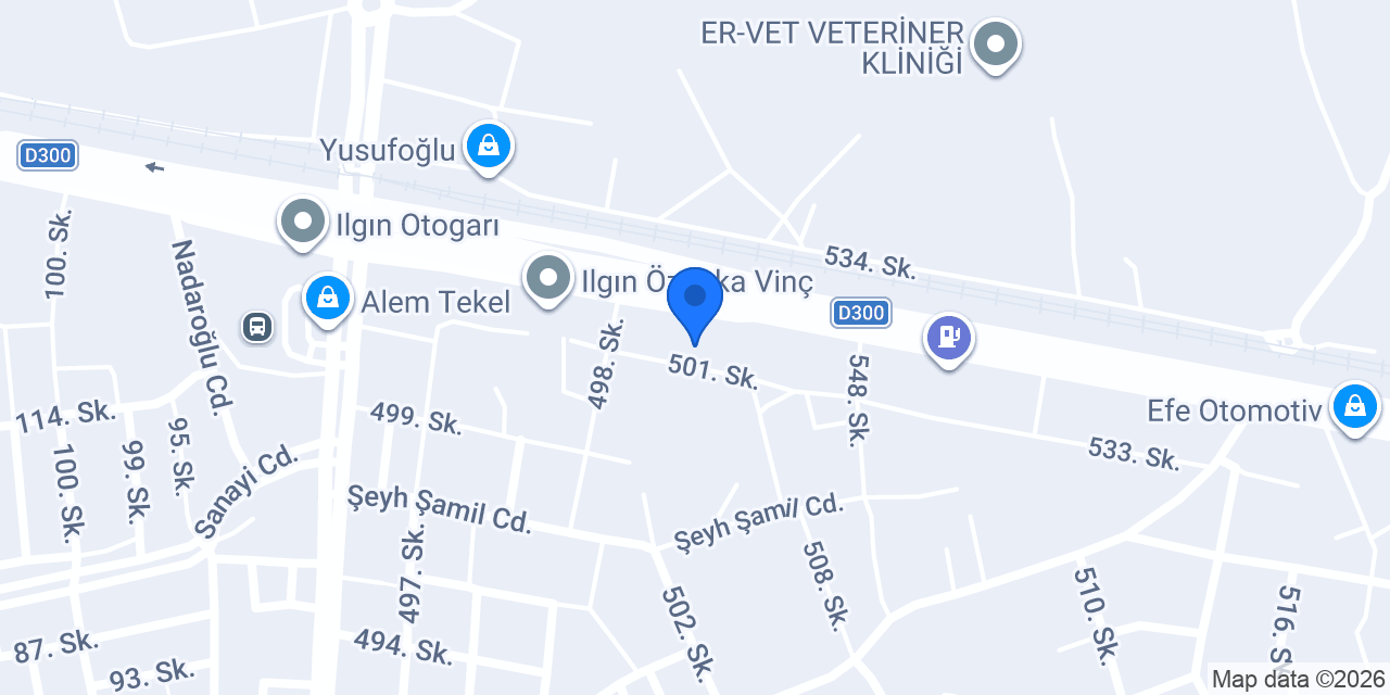 Fırtına Otomotiv konumu