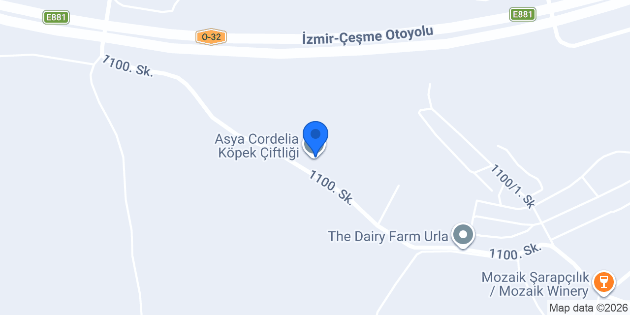 Asya Cordelia Köpek Çiftliği konumu