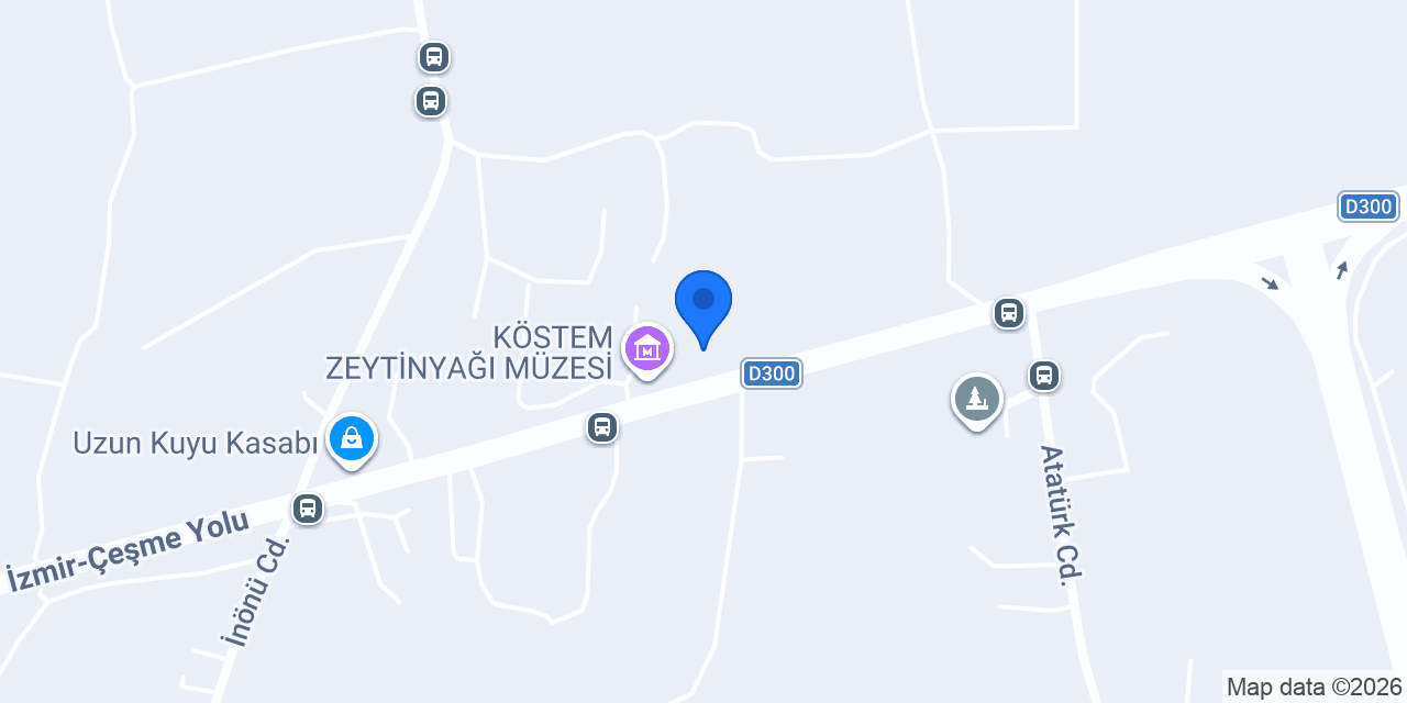 Yeni Hanedan konumu