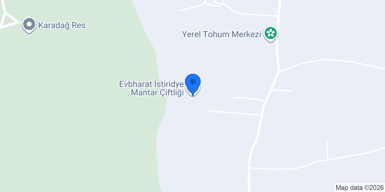Evbharat İstiridye Mantar Çiftliği konumu