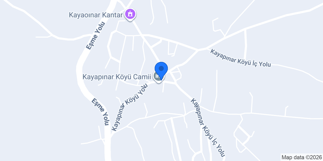 Kayapınar İlköğretim Okulu konumu