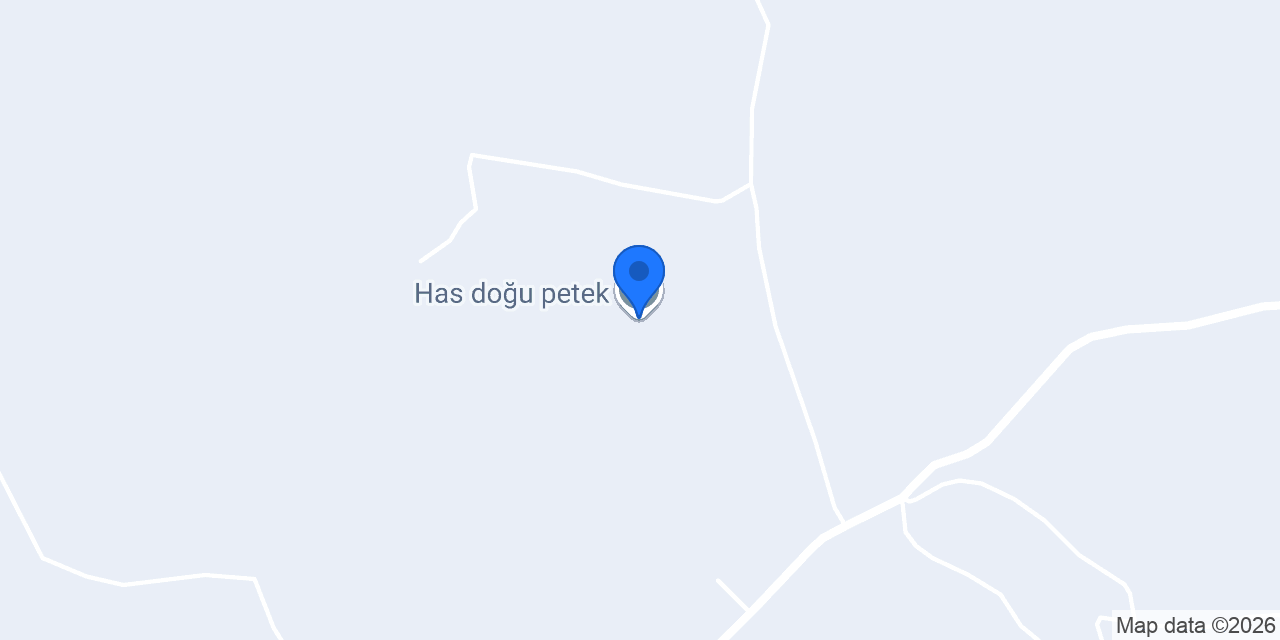 Has doğu petek konumu