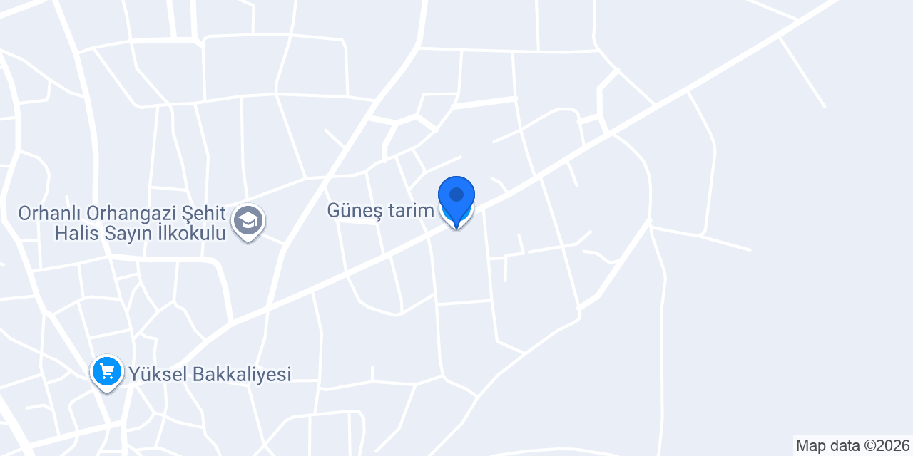 Güneş tarim konumu