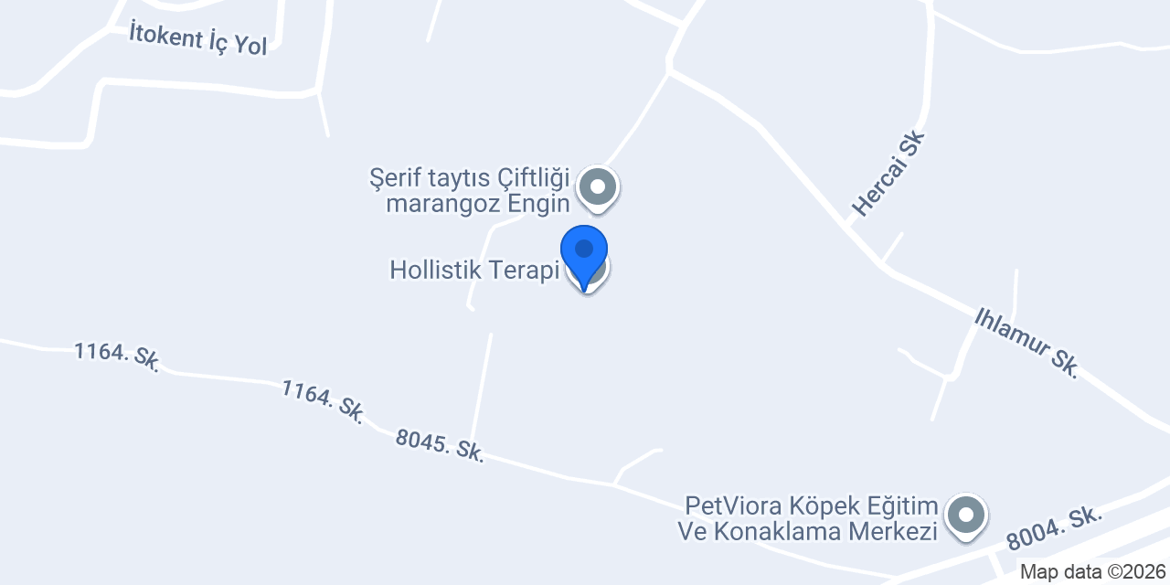 Hollistik Terapi konumu