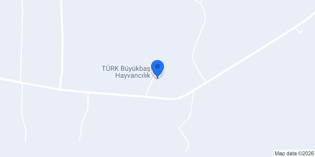 TÜRK Büyükbaş Hayvancılık konumu