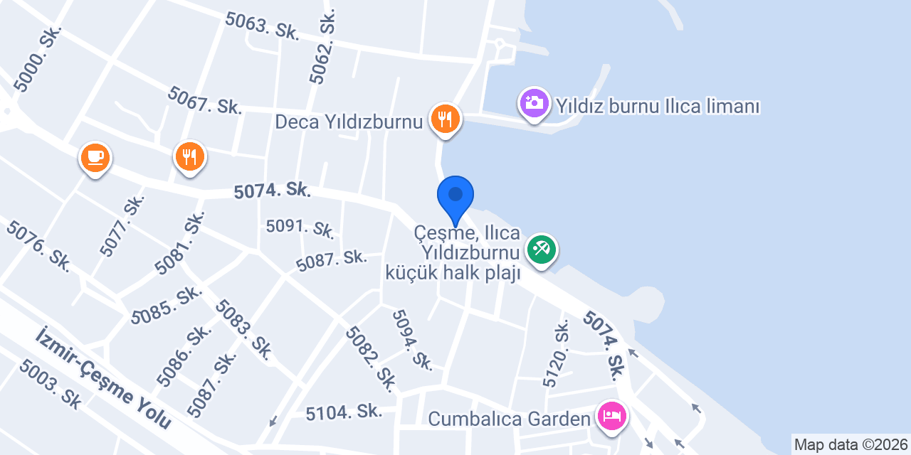 Alliance Restaurant Yıldızburnu konumu