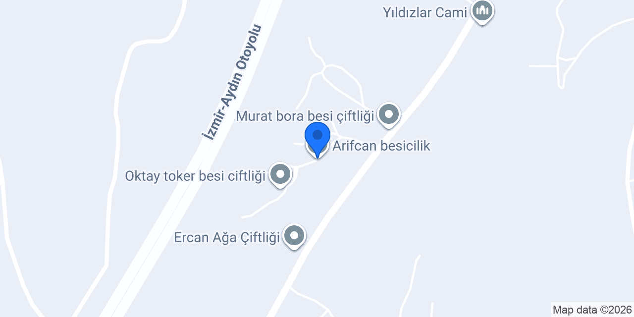 Arifcan besicilik konumu