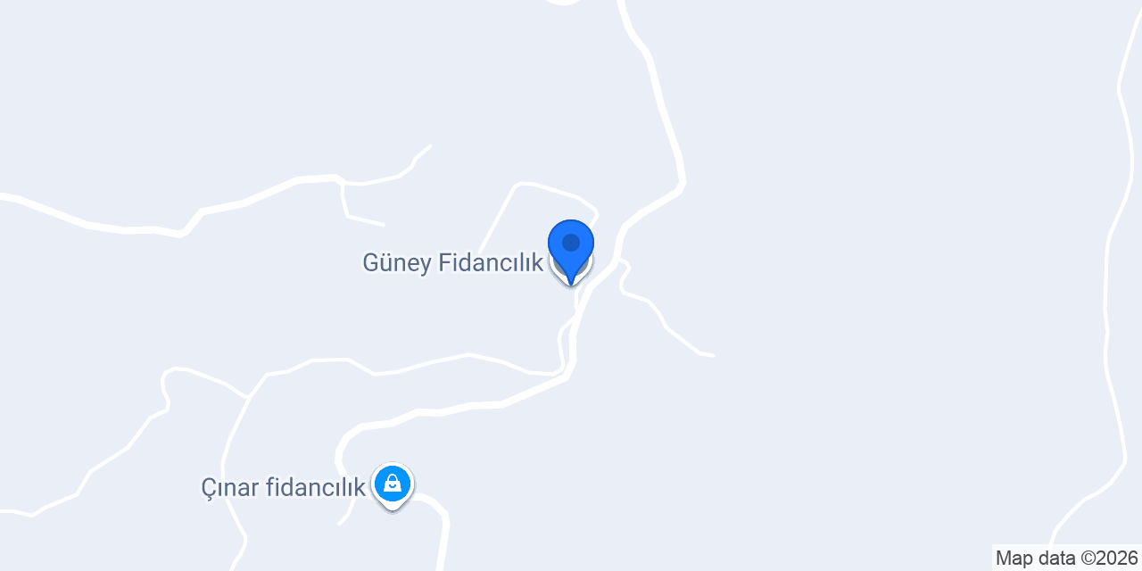 Güney Fidancılık konumu