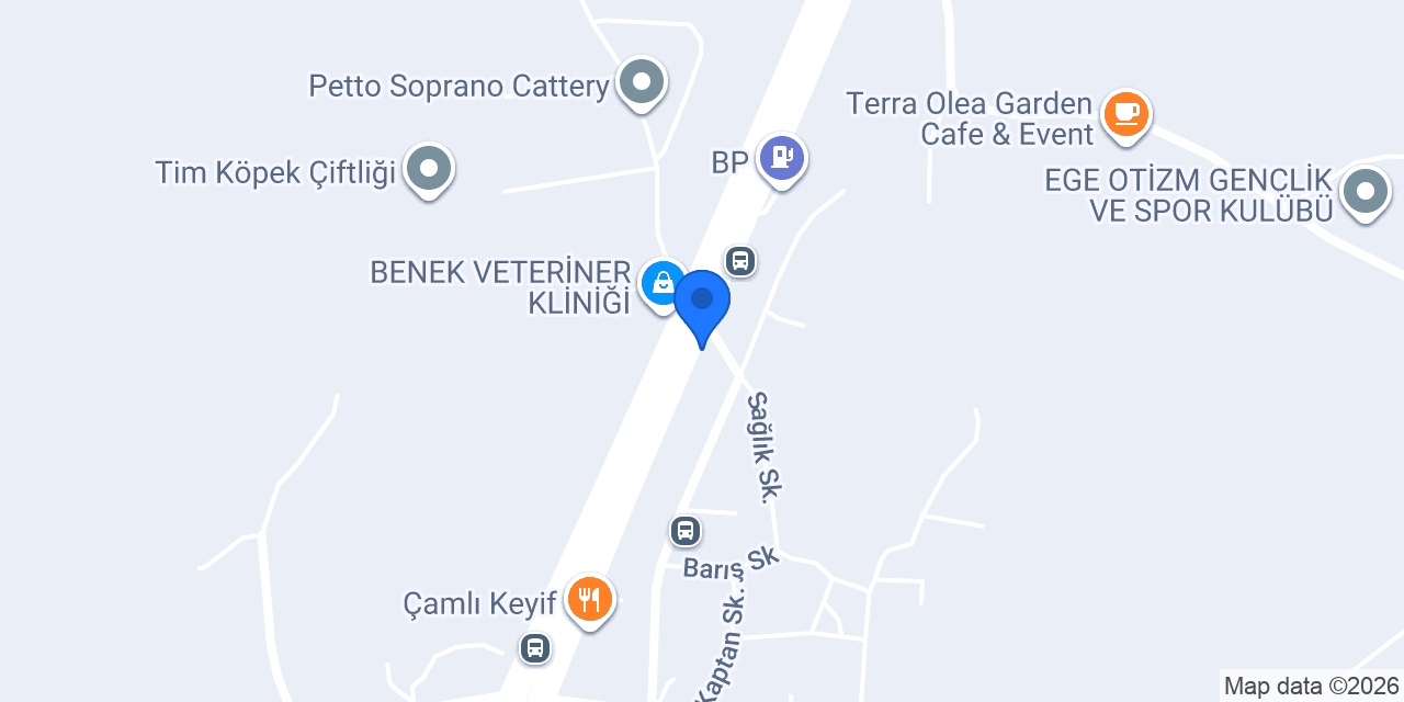 Minderium Armut Koltuk konumu