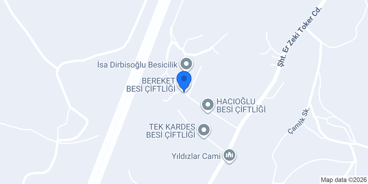 BEREKET BESİ ÇİFTLİĞİ konumu
