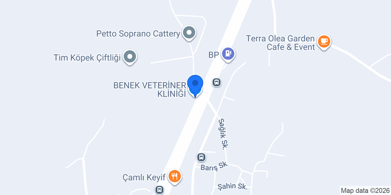 BENEK VETERİNER KLİNİĞİ konumu