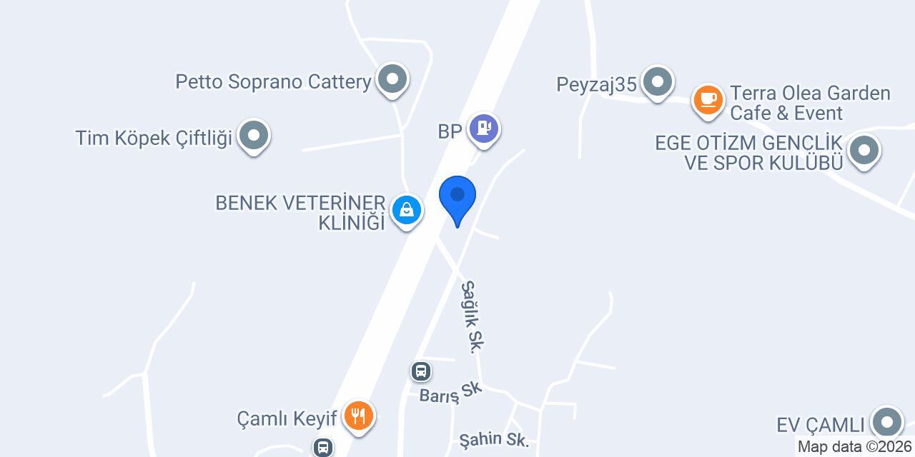 Turyap Çamlı konumu