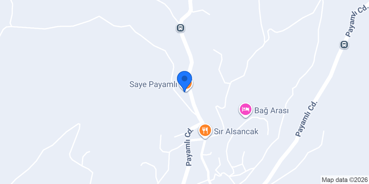 Saye Payamlı konumu