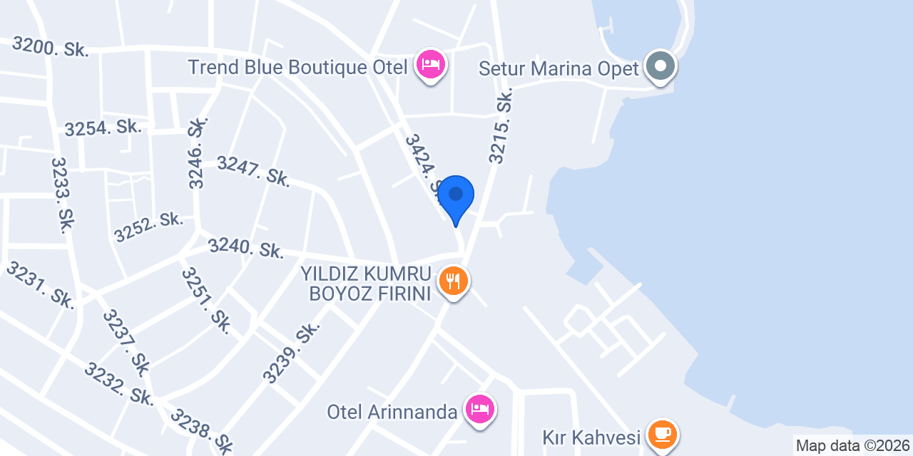 Altınyunus Taksi konumu
