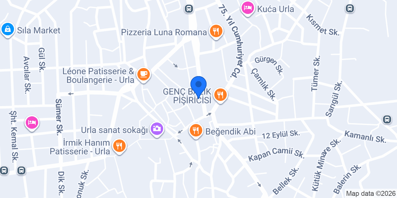 Park Taksi konumu