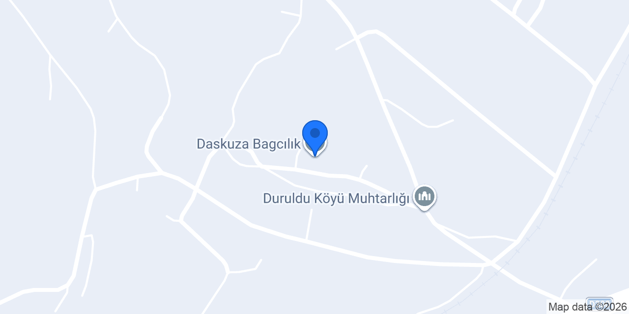 Daskuza Bagcılık konumu