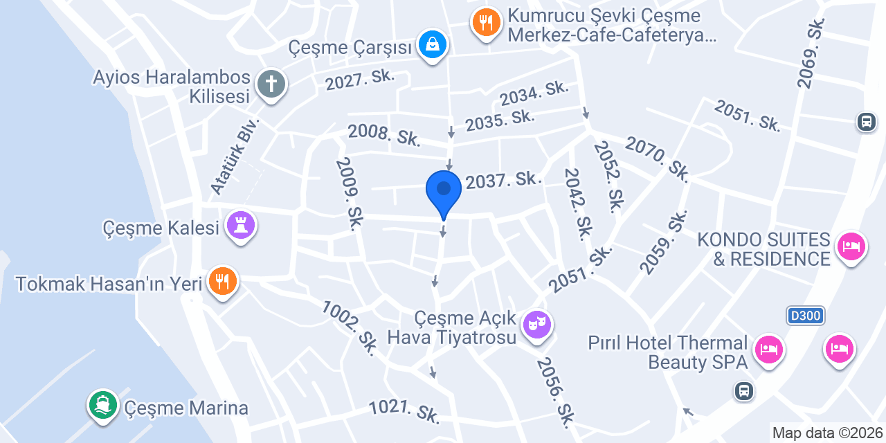 Horasan Balık konumu