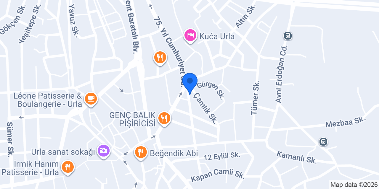 Berber Çetin Kurtkaya konumu