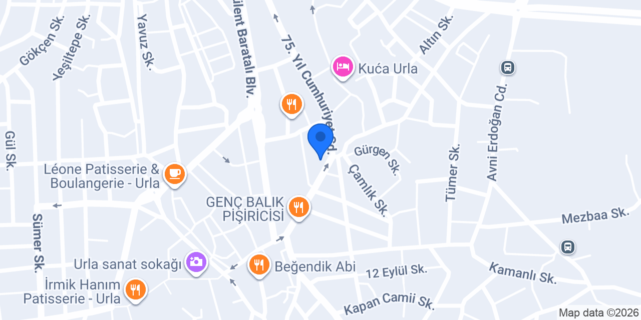 Cengiz Ülgüdür konumu