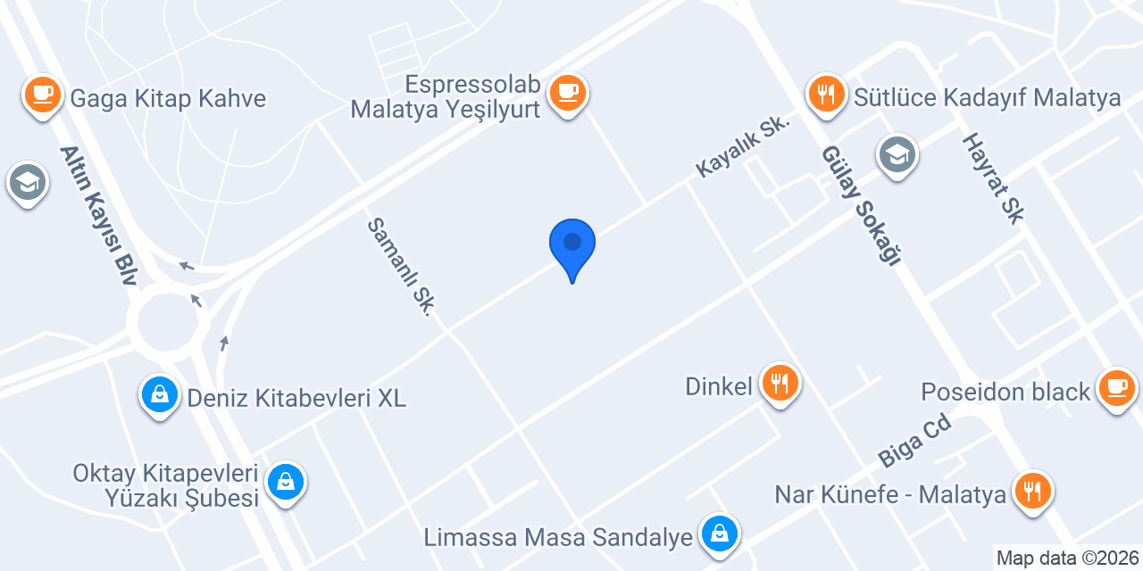 Semra Alhan Akademi konumu