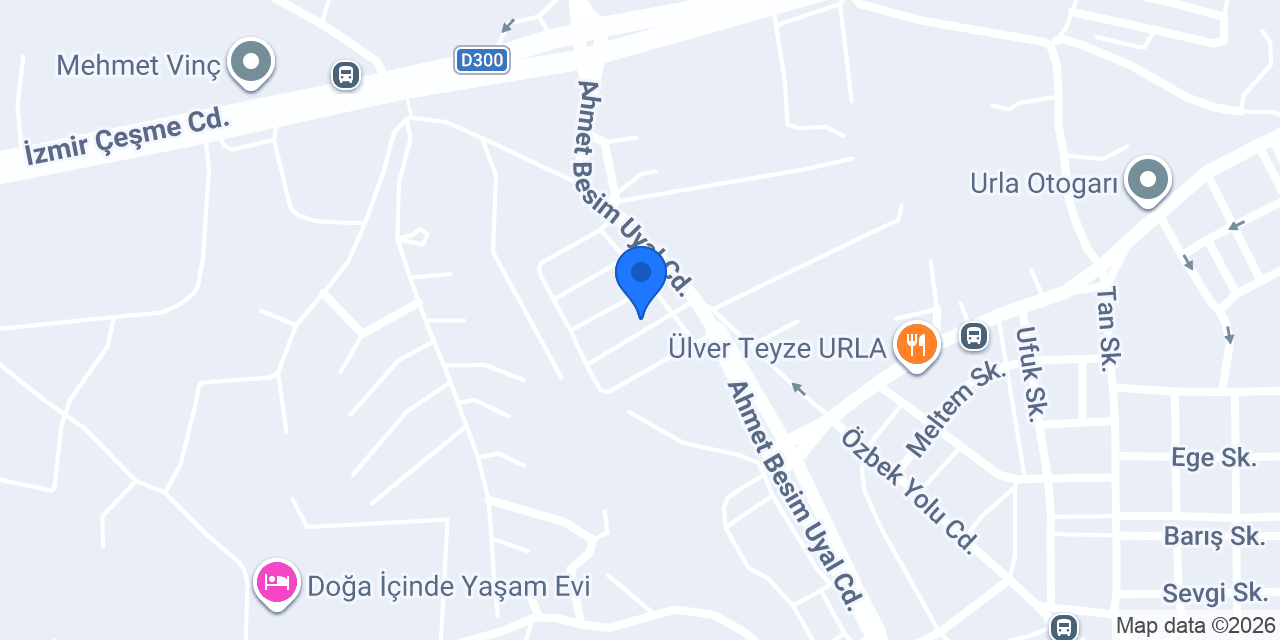 Egzoscu Doğan konumu